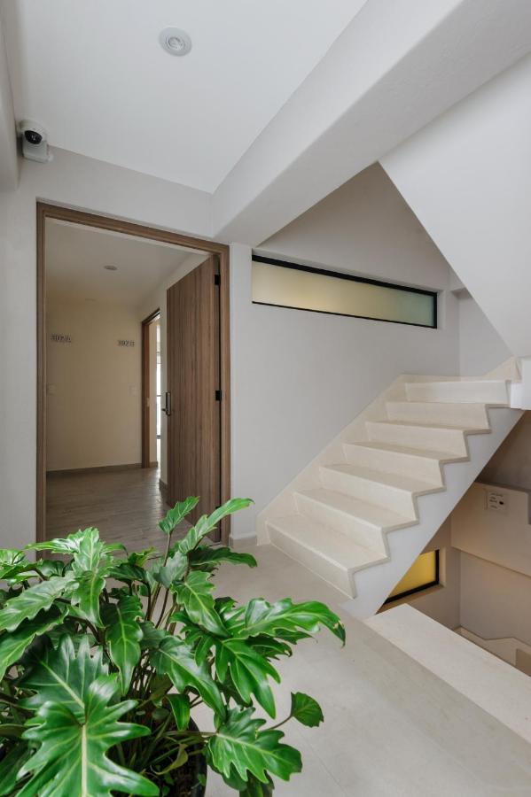Choapan 28 - Lux Apartments In Condesa Mexico City Exterior photo